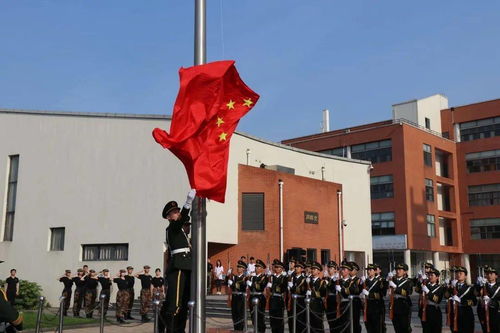 以我深情祭岁月免费阅读全文 以我深情祭岁月——短剧大结局在线观看 --第1张