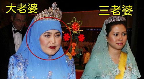 豪门霸总大结局，娶个皇后当豪门免费在线观看--第1张