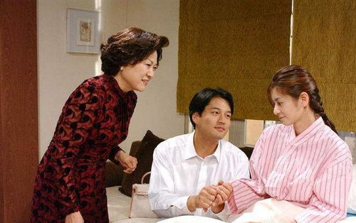 初次见面请嫁给我吧短剧大结局在线观看--第1张