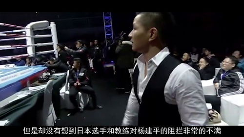 我不是拳王短剧大结局在线观看免费 我不是拳王短剧大结局在线观看 --第1张
