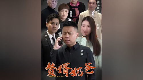 最强赘婿奶爸短剧大结局在线观看全集免费版--第1张