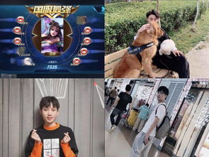 狂龙出狱从退婚开始短剧大结局在线观看 狂龙出狱江阳免费 --第1张