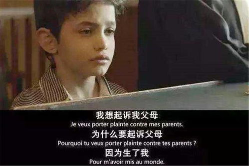 夜先生捡的小可怜美人结局揭秘--第1张