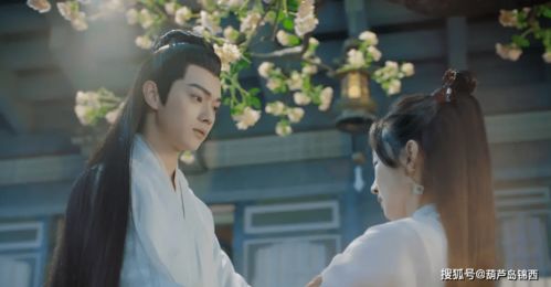 醉君颜短剧大结局在线观看 醉君颜攻略 --第1张