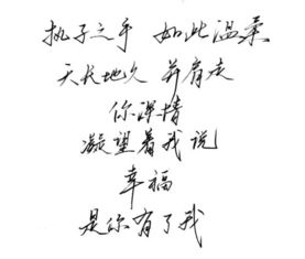 愿我如星辰君如月短剧大结局，爱情终成，共同追寻美好未来--第1张