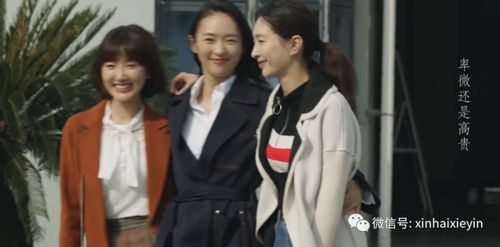 复仇的开始，离婚后的复仇大结局--第1张