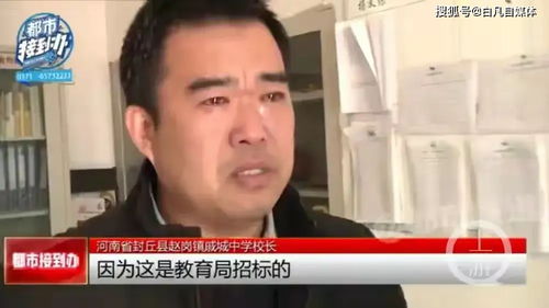我和首富大佬闪婚了，首富老公宠妻成瘾在线观看大结局免费版--第1张