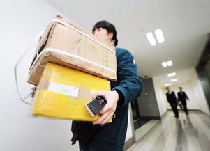 新快递员之奋斗人生短剧大结局在线观看 新职业 快递员 --第1张