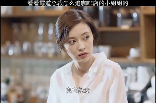 我的绝美总裁姐姐短剧大结局在线观看 我的绝美总裁姐姐短剧大结局在线观看视频 --第1张