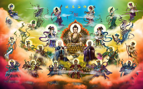回到古代当霸主大结局在线观看--第1张