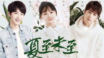 夏至末至短剧大结局在线观看 夏至末至剧情简介 --第1张