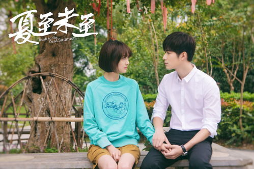 勇闯江湖大结局在线观看，女强人短剧演员表--第1张