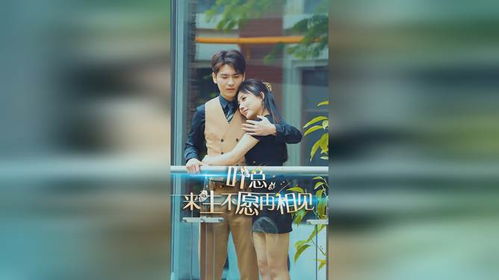 叶总来生不愿再相见短剧，大结局在线观看--第1张