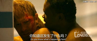 龙之吻短剧大结局在线观看 龙之吻1080p中英双字下 --第1张