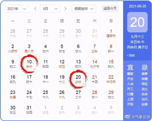 新婚夜植物人老公突然睁开眼，大结局在线观看--第1张