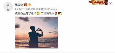 途径你的盛开，以痛吻我短剧大结局在线观看--第1张
