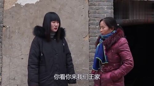 分家后我狂虐极品婆婆第九集大结局在线观看--第1张