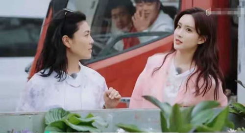 俏后妈嫁个大佬养崽崽短剧大结局在线观看 俏后妈嫁个大佬养崽崽短剧大结局在线观看 --第1张