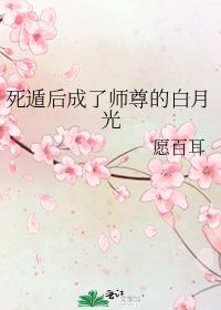 重生后慕大人后悔了免费阅读--第1张