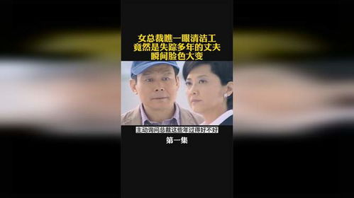 保洁女总裁，总裁原来是保洁员，公司大结局在线观看--第1张