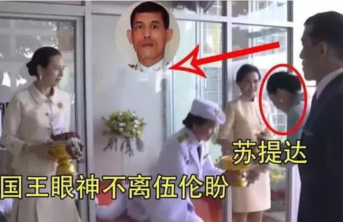 高冷总裁与复婚女总裁的爱情结局，深情与悔悟的交织--第1张