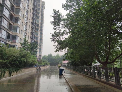 我被迫和顶级大佬闪婚了短剧大结局信息  --第1张