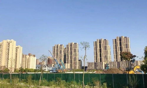 九个师姐爆宠我短剧大结局，九个师姐的终极宠爱--第1张