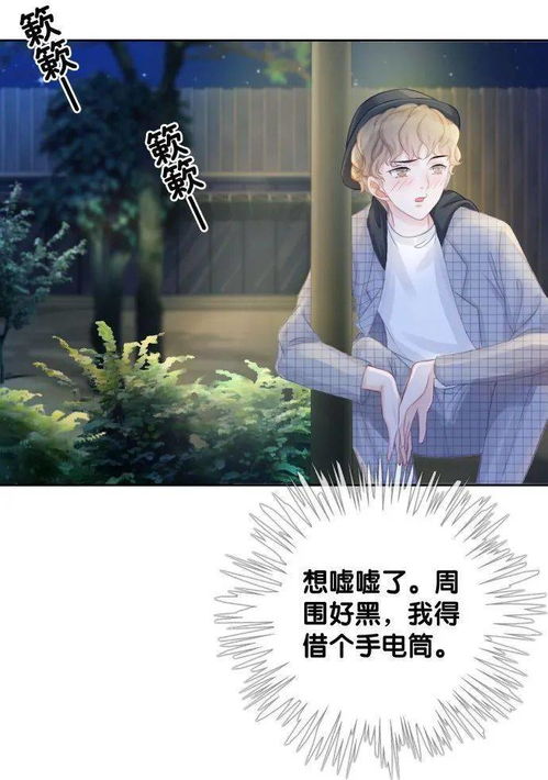笙笙予你大结局，误会解除，两人终成眷属--第1张