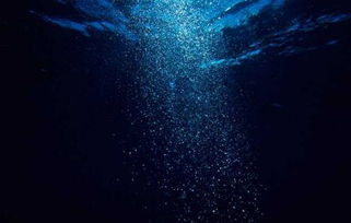 深海没有光为啥生物还会长眼睛 原来深海没有光——短剧大结局信息 --第1张