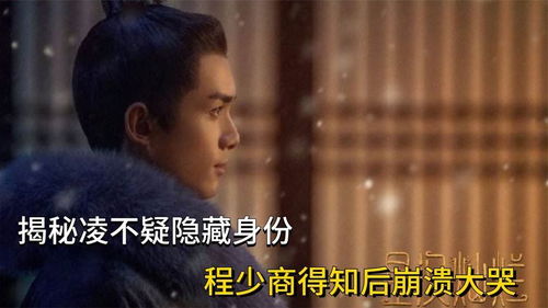 嫉恶如仇大结局在线观看--第1张