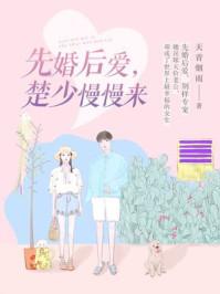 先婚后爱 免费阅读 先婚后爱之亡夫归来短剧大结局 --第1张