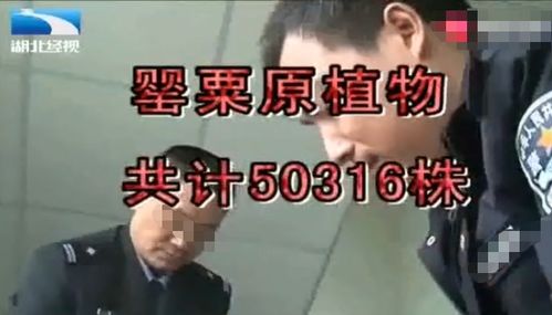 藏在时光深处的爱人短剧大结局信息 藏在时光深处的你剧情 --第1张