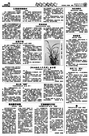 假如给我天光明大结局，光明的未来后感--第1张