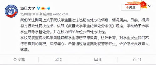 明知故犯短剧大结局信息 明知故犯讲的是什么 --第1张