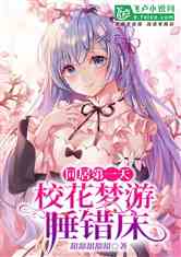 双生爱，陆总，你认错夫人了大结局阅读免费版--第1张