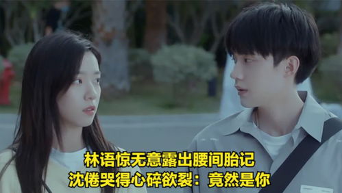 叶少少夫人又跑了 叶少给点力少夫人又要离婚了！短剧大结局信息 --第1张