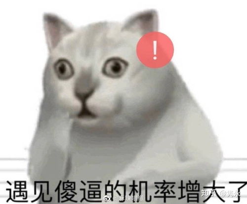 傻子上学2，傻子学霸震惊全球高考，大结局之傻子学神崛起--第1张