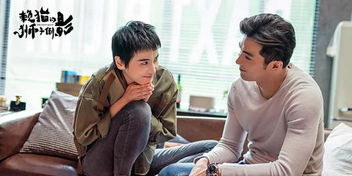 误嫁豪门，亿万总裁的闪婚攻略大结局解读--第1张