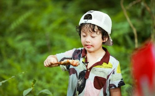 裴爷您夫人太凶残了全文免费阅读 裴爷娇妻惹不得短剧大结局信息 --第1张