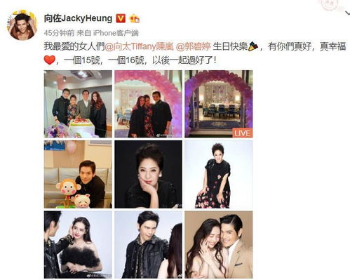 五年后她带崽归来，豪门妈咪的反击大结局--第1张