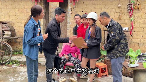 乡村大帝短剧大结局，大宁登基--第1张