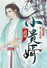 逍遥小赘婿，大结局惊天秘密--第1张