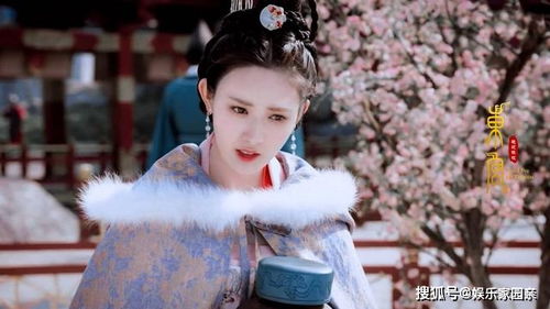 小说女主季舒容 季总别虐了！舒小姐嫁人了！短剧大结局信息 --第1张