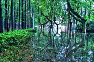 阳光照进小山村杨景景短剧大结局高清图片欣赏--第1张