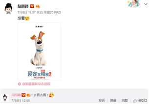 一不小心 小说 一不小心离错婚 --第1张