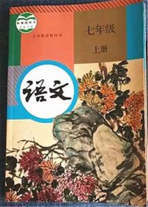 我统治了后宫，短剧大结局，语文课本的新篇章--第1张