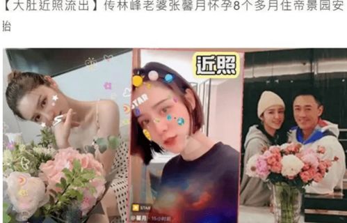 安安公子大结局，安公公怀孕成功，安公子重获新生。--第1张