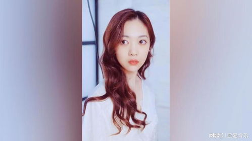 重生之女明星的美又飒大结局剧情介绍--第1张