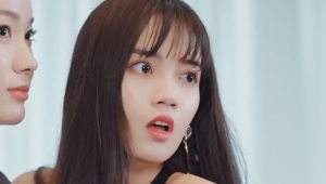 镇北天王大结局在线观看--第1张