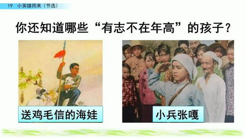 衣锦还乡小说龙帅 龙年大吉之衣锦还乡短剧大结局哪里看 --第1张